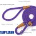 Lynxking Purple Tow Lines for Dogs | Durable Dog Leash for Small Medium & Large Breeds | 1.3cm x 240cm Retriever Line - Buy Online on GoSupps.com