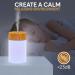 RUGERO 250ml Portable Cool Mist Air Humidifier with 7 LED Lights - Bedroom, Baby, Yoga, Office, Car - Light Wood Grain Finish | Mini Auto-Off Plant Humidifier - Buy Online on GoSupps.com