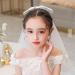 IYOU Communion Headpiece with Veil White Bowknot Hair Clips Flower Girl Birthday Wedding Hair Accessories for Flower Girls - Buy Online on GoSupps.com