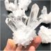 Gemstone Decoration Natural White Clear Cluster Quartz HealthStone Raw Point Specimen Home Decor Raw Stone ningxiao - Buy Online on GoSupps.com