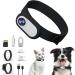 ZJRUI Cat Collar Camera with 128GB SD Card HD 1080P Dog Collar Camera Thumb Camera Outdoor Action Camera with Video Records Mini Wireless Body Cam for Pet Supplies Indoor and Outdoor (With Collar)
