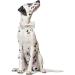 Lionet Paw's Wedding Dog Collar - Comfortable Silk White Collar with Removable Fly for Medium Dogs (34-55cm) | International Shipping - Buy Online on GoSupps.com