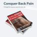 Buy 'Sit-Ups are Stupid & Crunches are Crap' Book - Back Stretcher & Spine Alignment by Dr. Todd Sinett | International Shipping Available - Buy Online on GoSupps.com