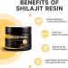 Wone Himalayan Shilajit resin Shilajit from the Himalayas purity gold 85+ trace elements increases energy and immunity 50 g glass with measuring spoon - Buy Online on GoSupps.com