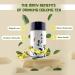 Yummy and Soothing Oolong Loose Leaf Tea - High Mountain Tea in Tin Container - Buy Online on GoSupps.com