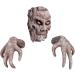 Unique Border Tree Ornament & Creative Bark Face Halloween Makeup Props - Buy Online on GoSupps.com