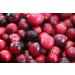 USDA Organic Cranberry Concentrate 30 "Once Daily" Organicaps - Organic New Urinary Health & Antioxidant Support Supplement - 30 Day Supply - Works Better than tablets Liquids or Teas - All Natural Plant Extract with No Side Effects - Ultra Premium Supple - Buy Online on GoSupps.com