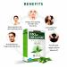 INDUS VALLEY Bio Organic Neem Powder For Hair Care | Organic Azadirachta indica 100% Natural & Chemical Free Cleanser For Healthy Hair - 200gm Natural Skin Care Masks & Herbal Blends - Buy Online on GoSupps.com