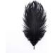 Hollosport 30PCS Black Ostrich Feathers 10-12 Inches for Centerpieces, Weddings, and Crafts - Buy Online on GoSupps.com