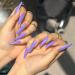Sethain Glossy Ballerina False Nails Blue Pure Fake Nail Long Full Cover Coffin Press on Nails for Women and Girls (Purple) - Buy Online on GoSupps.com