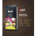 Segafredo Zanetti Whole Bean Coffee - Single Origin Brazil 100% Arabica - 1 KG - Barista Recommended | Rich Flavors of Dried Fruits Nuts & Chocolate - Buy Online on GoSupps.com