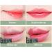 LZPCarra Moisturising Discolouration Waterproof Aliin Temperature Lip Balm Long Lipstick Butter (Green One Size) 1 count (Pack of 1) Green - Buy Online on GoSupps.com