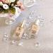 Estee Lauder Double Wear Foundation 2Pack Pump (Upgrade) - Convenient Dispenser for Easy Application - Buy Online on GoSupps.com
