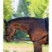 Waldhausen W-Trainrein leather triangle reins: rice agent lunging accessories flexible binders for horse training riding aid and horse gymnastics pon black bangs black