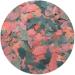 Tropical Bionautic Flakes - 50 g - Buy Online on GoSupps.com