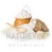 Naturevibe Botanicals Organic Brown Rice Flour (2lbs) - Gluten-Free Protein-Rich Cooking Ingredient - Buy Online on GoSupps.com