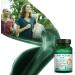 Purity Products Fast Action HA - Hyaluronic Acid Joint Comfort Formula - 60 Tablets - Buy Online on GoSupps.com