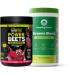 Amazing Grass Greens Blend Superfood: Super Greens Powder Smoothie Mix for Boost Energy 60 Servings & Nature Fuel Power Beets Powder Beet Root Powder Support Natural Energy 60 Servings Beets x Greens Bundle