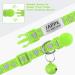 Tagme Reflective Cat Collar - 2 Pack with Name & Address Shield Safety Clasp & Bell for Kittens - Green 15-20 cm - Buy Online on GoSupps.com