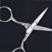 Heallily 2pcs Eyebrow Scissors Stainless Steel Facial Hair Trimmer Scissors with Sharp Edge Blades for Men Women Eyelashes Moustache Nose Hair Beard Silver  - Buy Online on GoSupps.com