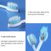 Portable 3-in-1 Travel Toothbrush with Replacement Head | Upgraded Orthodontic Bristles & Built-in Toothpaste Tube | Essential Camping Accessory - Buy Online on GoSupps.com