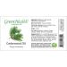 Cedarwood Essential Oil 8 fl oz (237 ml) Glass Bottle w/Cap 100% Pure Essential Oil GreenHealth - Buy Online on GoSupps.com