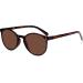 Buy Read Optics Tinted Reading Glasses +1 to +3.5 | Prescription & Non-Prescription Round Tort Style - Buy Online on GoSupps.com