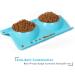 UPSKY Double Dog Cat Bowls - Premium Stainless Steel No-Spill Resin Feeder for Cats & Small Dogs (Sky Blue) - Buy Online on GoSupps.com
