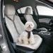 Adjustable Dog Seat Belt with Elastic Damping & Reflective Headrest - Universal Fit for All Dog Breeds & Cats - Safe Travels - Buy Online on GoSupps.com
