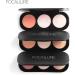 FOCALLURE 3 Types 3 Colors Blush Highlighter Bronzer Palette Contour Shadow Powder Face Mankeup(3) - Buy Online on GoSupps.com
