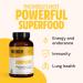 FreshCap Cordyceps Capsules 120 Count - Natural Energy Boost - 1000mg Organic Vegan Supplement - Exercise Performance and Endurance - With 32% Beta Glucan and 0.3% Cordycepin - 60 Day Supply - Buy Online on GoSupps.com