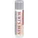 Burts Bees Ultra Conditioning Lip Balm - Blister Packs 4.25g Cocoa 4.25 g (Pack of 1) - Buy Online on GoSupps.com