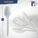 HOGOWARE 500 White Plastic Spoons - Medium Weight Disposable Cutlery for Take-Out, Parties, Picnics & Events - Buy Online on GoSupps.com