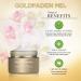 Goldfaden MD Plant Profusion Energetic Eye Cream 0.5 oz - Revitalize Your Eyes - Buy Online on GoSupps.com