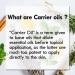 Buy Pure Perilla Oil (30ml) - Cold Pressed Herbal Benefits | D ve Herbes International Shipping - Buy Online on GoSupps.com