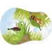 Ortopad Bamboo Adhesive Eye Patches - Medium Size Bugs Pack (30/Pack) | Eco-Friendly Eye Care Solutions for Kids & Adults - Buy Online on GoSupps.com