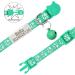 Senristar Personalized Reflective Cat Collar 2-Pack | Custom Breakaway Collars with Name Shield & Bell | Anti-Losing Name Tag for Cats | Fits 20-28 cm | Green - Buy Online on GoSupps.com