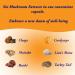 Earth Cap Mushrooms Sunrise 6 Mushroom Supplement Capsule - Chaga Cordyceps Lion's Mane Maitake Reishi Turkey Tail Real Fruiting Body - No Fillers - Buy Online on GoSupps.com