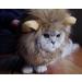 Bello Luna Lion Hair Headgear for Dogs & Cats | Lion Mane Wig Cosplay Costume for Puppies | Halloween Christmas & Festival Party - Buy Online on GoSupps.com
