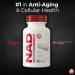 Metabolic Nutrition NAD Daily 150mg Anti-Aging Cellular Rejuvenator, Supports Cellular Energy and Mitochondrial Function, 30 Vegetable Capsules - Buy Online on GoSupps.com