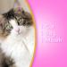 Ultra Pet Silica Gel Crystal Cat Litter - Odor Control & Gentle on Paws - Buy Online on GoSupps.com