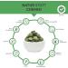 Bio Green Trio Presslinge 200g - 500 Raw Food Tablets with Chlorella Spirulina & Barley Grass | 100% Pure & Additive-Free - Buy Online on GoSupps.com