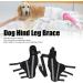 Pet Knee Joint Wrap Reflective Soft Material Inflammation Reduction Stable Dog Hind Leg Support Brace for Knee Dislocation L - Buy Online on GoSupps.com