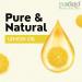 PUROLEO Lemon Essential Oil 16 Fl Oz/473 ML (Packed in Canada) 100% Pure & Natural Fresh Lemon Peels for Aromatherapy DIY Cleaning Products and Personal Care - Uplifting Citrus Aroma in Every Drop 16 Fl Oz (Pack of 1) - Buy Online on GoSupps.com