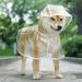 Xfyyzy Dog Raincoat - Waterproof Clear Pet Raincoat for Outdoor Walking - Breathable Lightweight Dog Poncho - Medium - Buy Online on GoSupps.com