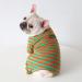 BT Bear Colorful Striped Dog Pajamas - Soft Cotton One-Piece Costume for Bulldogs & Small to Medium Dogs (XXL Green/Orange) - Buy Online on GoSupps.com
