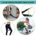 Resistance Bands for Working Out Set of 5 Resistance Loop Exercise Bands Women & Men Exercise Bands Set with Carry Bag Instruction Guide for Whole-Body Fitness Strength Training - Buy Online on GoSupps.com