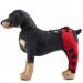Dog Rear Hind Leg Joint Brace Pet Dog Double Hind Leg Brace Support Belt for Heals Prevents Injuries Sprains Protects Wounds. C Large
