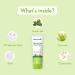 Buy Wish Care 2% Salicylic Acid Face Wash - AHA Green Tea Chamomile & Tea Tree for Oil & Acne Control - Shipping Worldwide - Buy Online on GoSupps.com