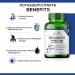 Tresear Potassium Citrate Supplement for Healthy Nervous System & Muscle Function - 90 Capsules - Buy Online on GoSupps.com